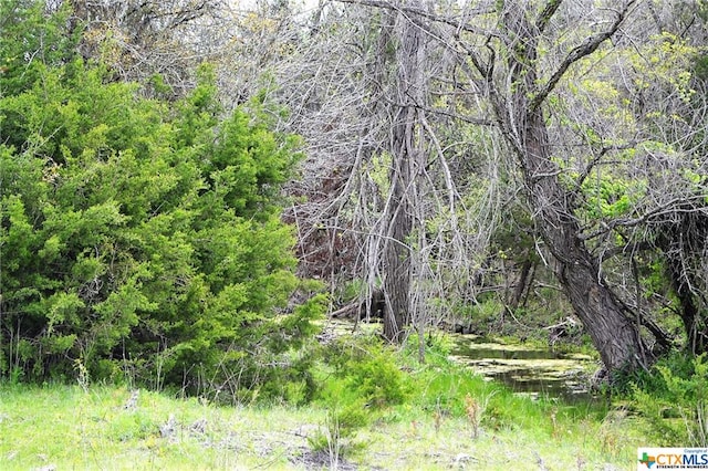 1290 County Road 4765, Kempner, TX 76539 - photo 19