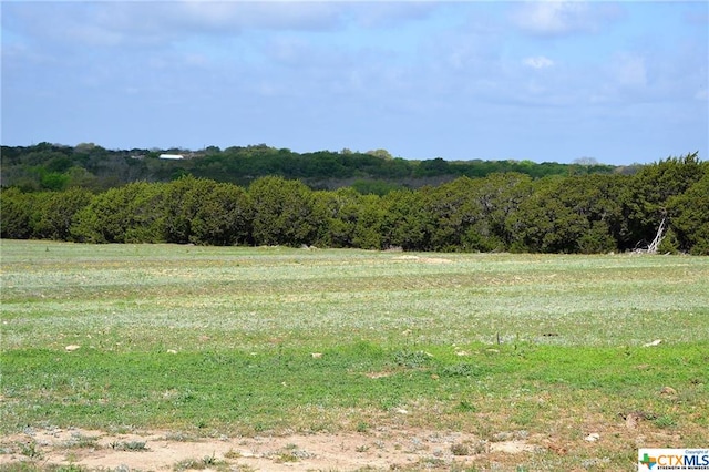 1290 County Road 4765, Kempner, TX 76539 - photo 22