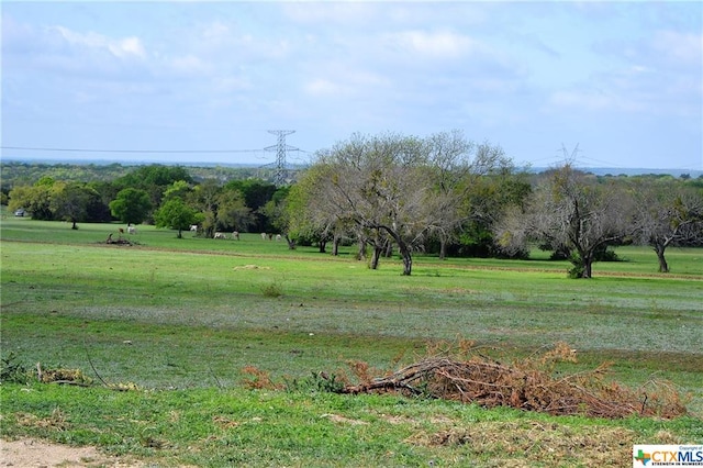 1290 County Road 4765, Kempner, TX 76539 - photo 24