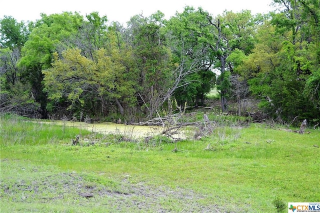1290 County Road 4765, Kempner, TX 76539 - photo 26