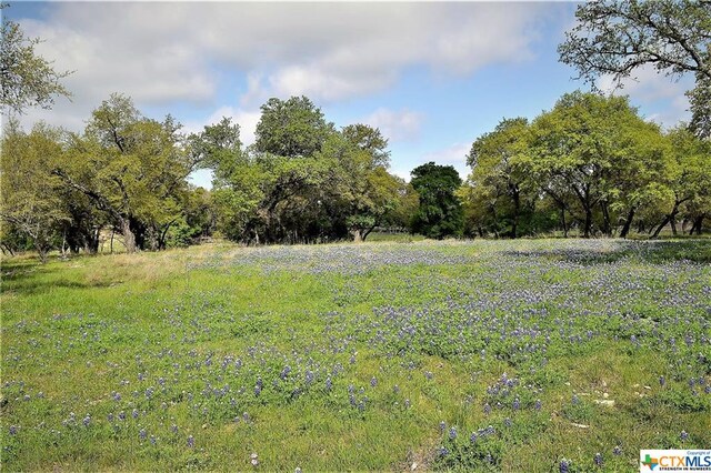 1290 County Road 4765, Kempner, TX 76539 - photo 27
