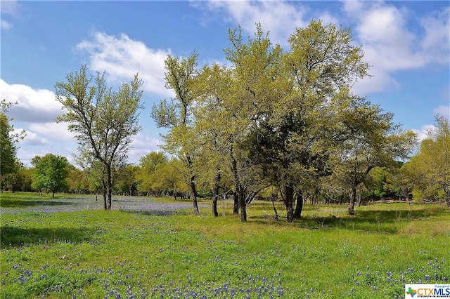 1290 County Road 4765, Kempner, TX 76539 - photo 1