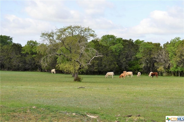 1290 County Road 4765, Kempner, TX 76539 - photo 7