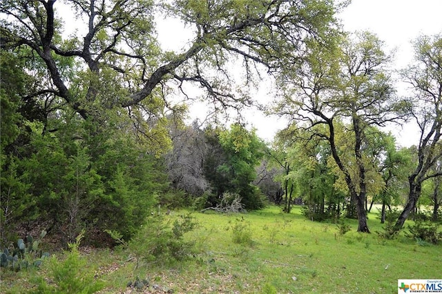 1290 County Road 4765, Kempner, TX 76539 - photo 9