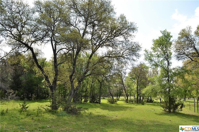 1290 County Road 4765, Kempner, TX 76539 - photo 10