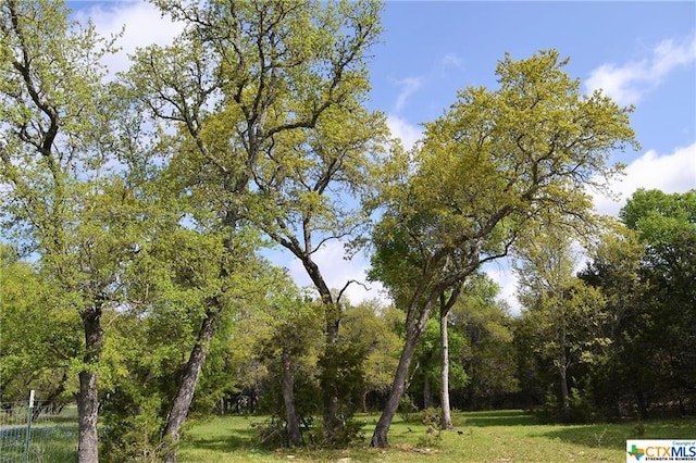 1290 County Road 4765, Kempner, TX 76539 - photo 11