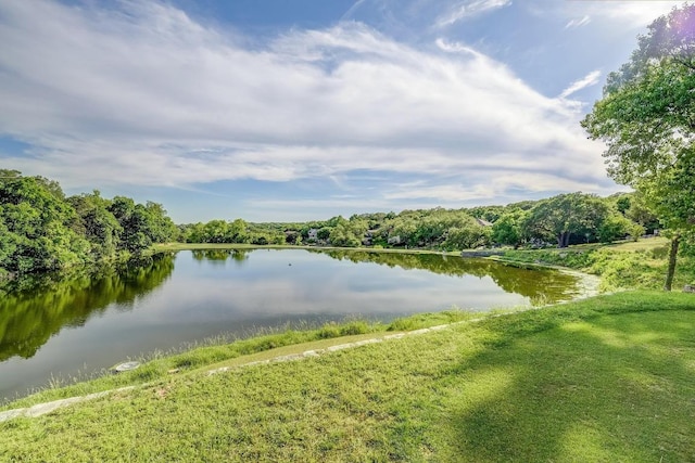 9202 Spring Hollow Dr, Austin, TX 78750 - water view with a forest