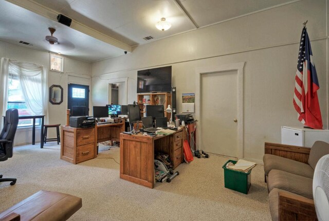 828 Water St, Webberville, TX 78653 - photo 12