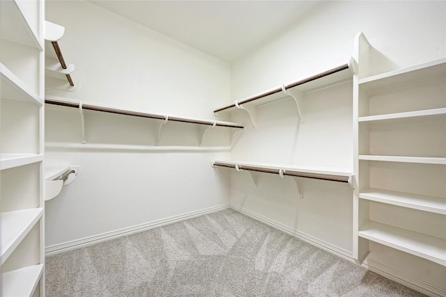 1160 Waimea Bnd, Round Rock, TX 78681 - spacious closet with carpet