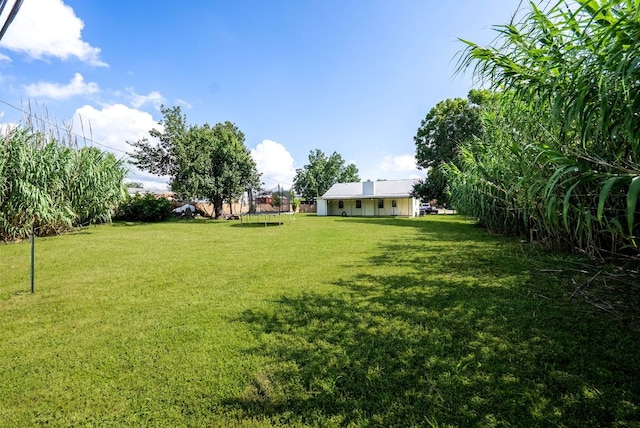 1717 NW Fleischer Dr NW, Pflugerville, TX 78728 - photo 17