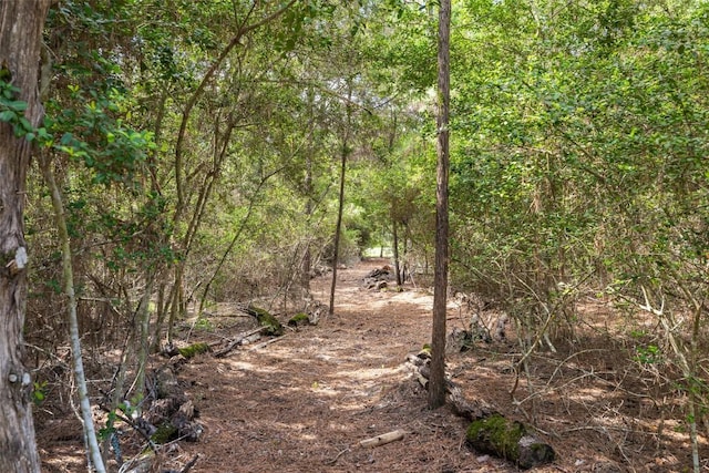 236 Pony Express Dr, Smithville, TX 78957 - view of woods