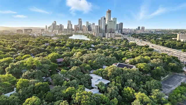 1327 Bonham Ter Unit B, Austin, TX 78704 - bird's eye view of skyline