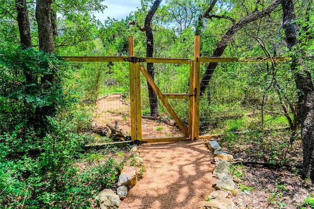 4407 Ganymede Dr, Austin, TX 78727 - view of gate