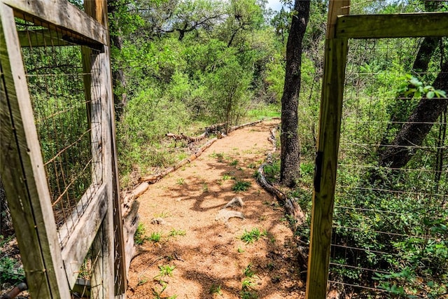 4407 Ganymede Dr, Austin, TX 78727 - view of nature