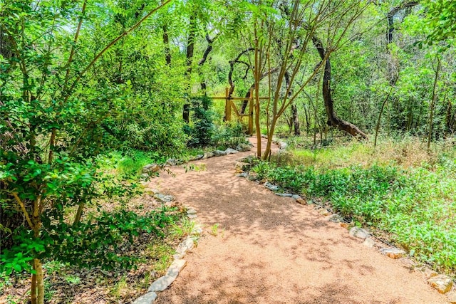 4407 Ganymede Dr, Austin, TX 78727 - view of yard featuring a wooded view