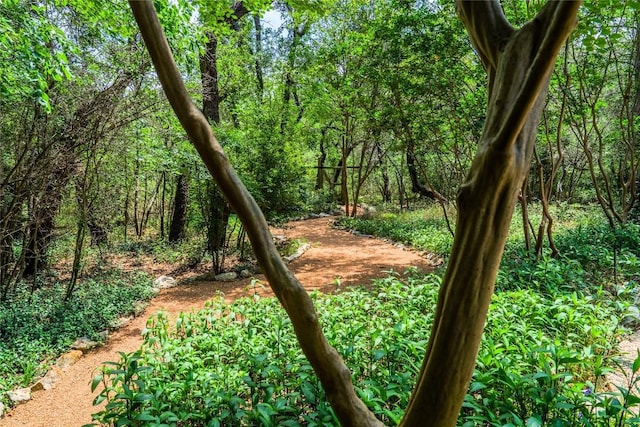 4407 Ganymede Dr, Austin, TX 78727 - view of wooded area