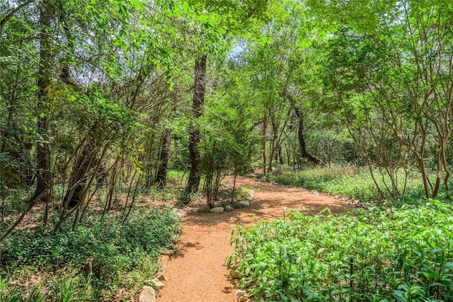 4407 Ganymede Dr, Austin, TX 78727 - view of woods