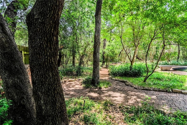 4407 Ganymede Dr, Austin, TX 78727 - view of nature