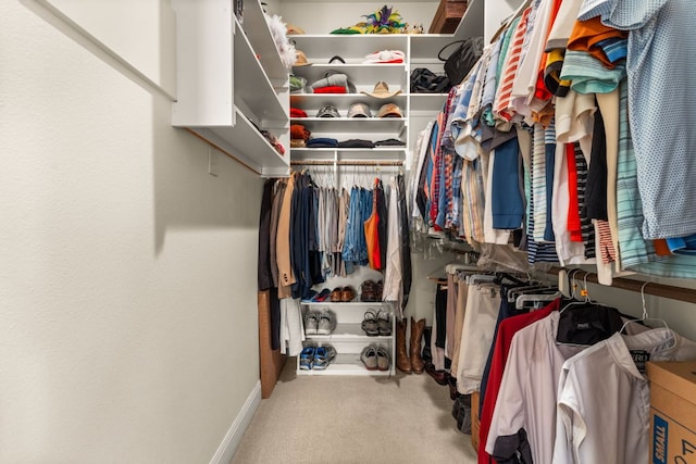 9 Borello Dr Unit 9, Austin, TX 78738 - walk in closet featuring carpet flooring