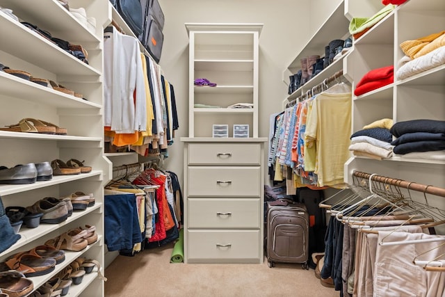 9 Borello Dr Unit 9, Austin, TX 78738 - walk in closet with carpet