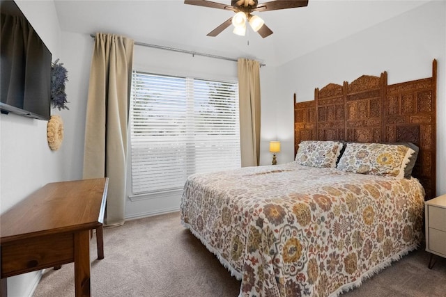 2236 Sawdust Dr, Georgetown, TX 78633 - photo 20