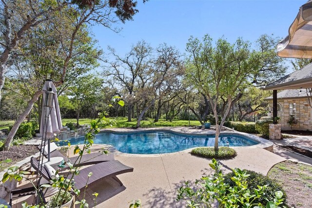 12303 Triple Creek Cir, Dripping Springs, TX 78620 - photo 15