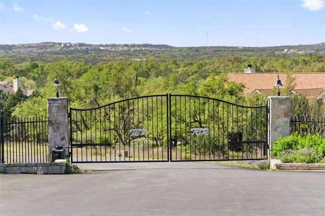 12303 Triple Creek Cir, Dripping Springs, TX 78620 - photo 39