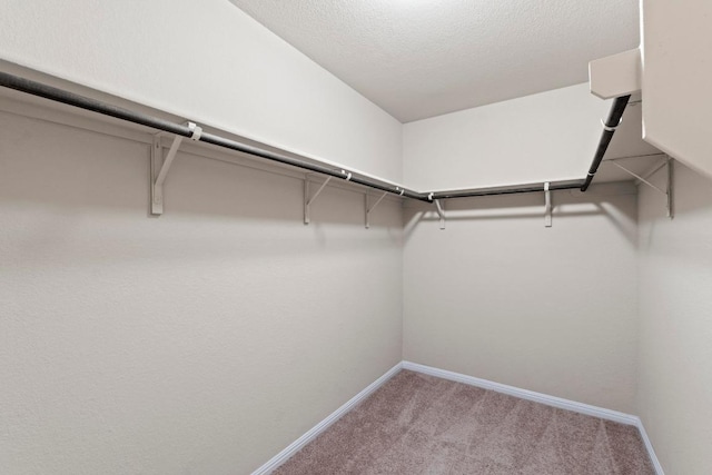 10700 Losoya Cv, Austin, TX 78754 - walk in closet featuring carpet floors