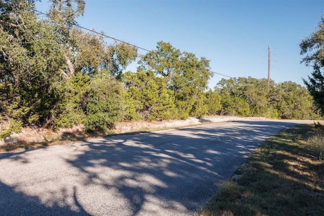 1101 Madrone Rd, Fischer, TX 78623