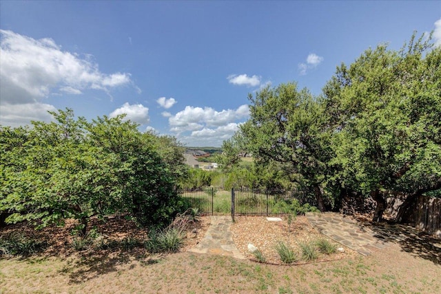 22020 Verbena Pkwy, Spicewood, TX 78669 - photo 25