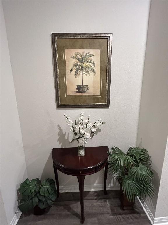 11503 Copperstone Ave Unit 89, Austin, TX 78748 - detailed view of baseboards