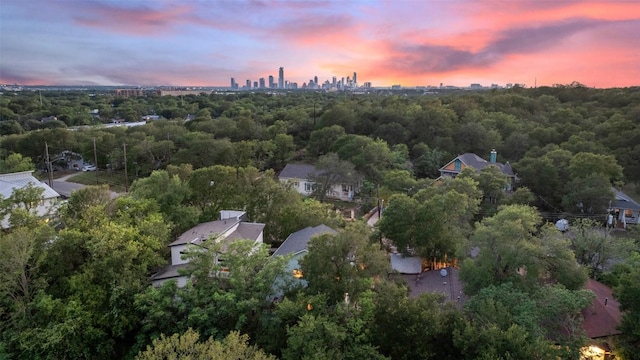 1113 Lott Ave, Austin, TX 78721 - aerial view at dusk of a forest view