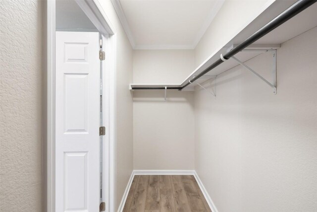 1113 Lott Ave, Austin, TX 78721 - walk in closet featuring wood finished floors