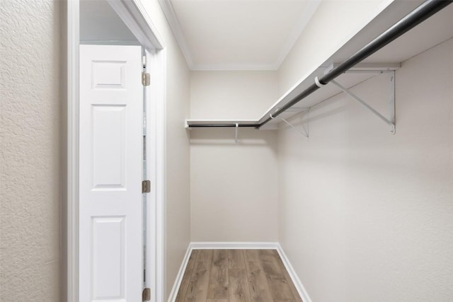 1113 Lott Ave, Austin, TX 78721 - photo 21