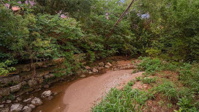 1113 Lott Ave, Austin, TX 78721 - view of yard with a view of trees