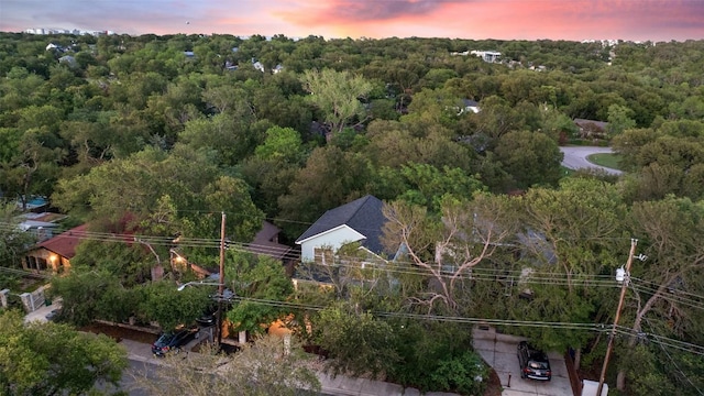 1113 Lott Ave, Austin, TX 78721 - aerial view at dusk of a view of trees