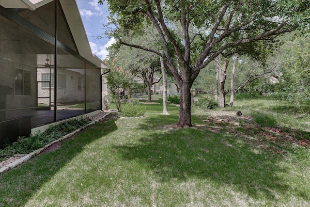124 Dan Moody Trl, Georgetown, TX 78633 - photo 28