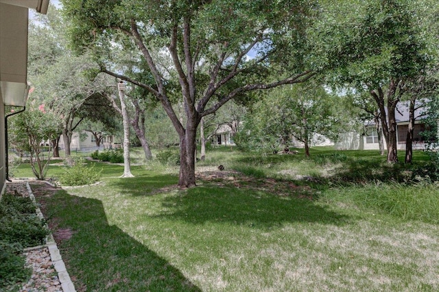 124 Dan Moody Trl, Georgetown, TX 78633 - photo 29