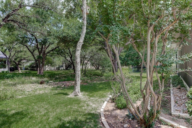 124 Dan Moody Trl, Georgetown, TX 78633 - photo 30