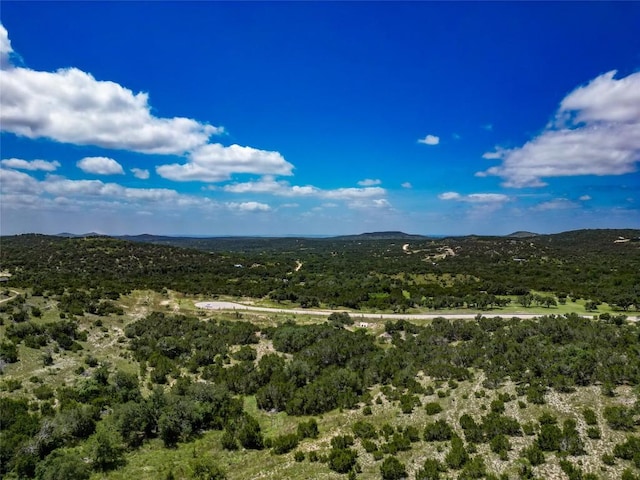 TBD E Starview Cv Lot 168, Blanco, TX 78606