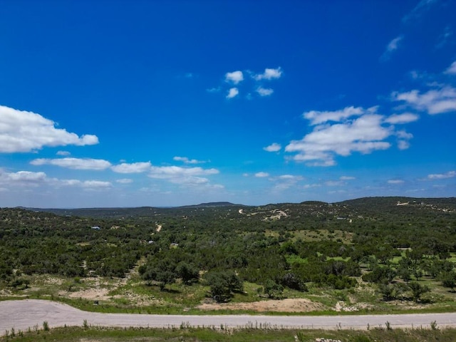 TBD E Starview Cv Lot 168, Blanco, TX 78606