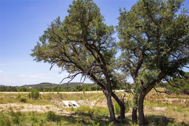 TBD E Starview Cv Lot 168, Blanco, TX 78606