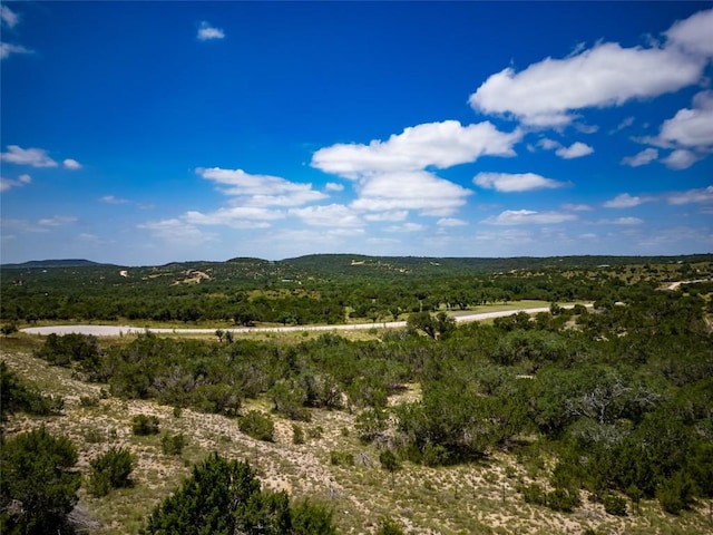 TBD E Starview Cv Lot 168, Blanco, TX 78606