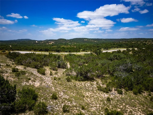TBD E Starview Cv Lot 168, Blanco, TX 78606