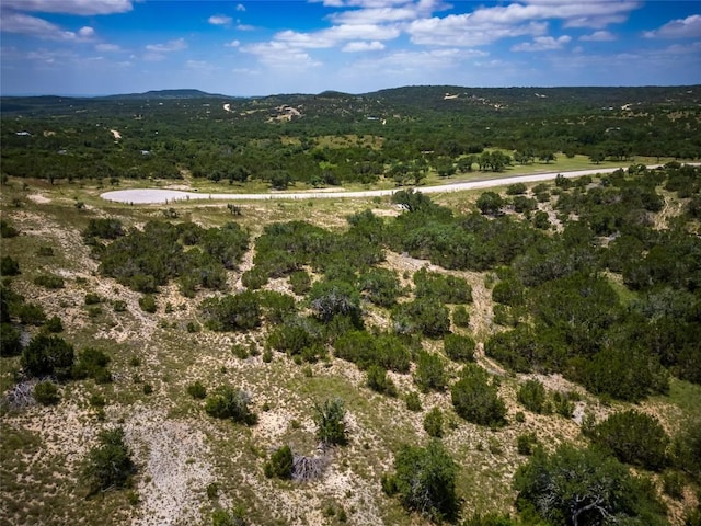 TBD E Starview Cv Lot 168, Blanco, TX 78606
