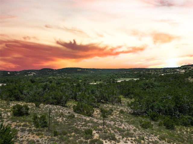 TBD E Starview Cv Lot 168, Blanco, TX 78606