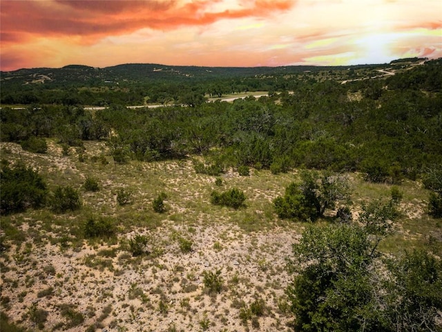 TBD E Starview Cv Lot 168, Blanco, TX 78606