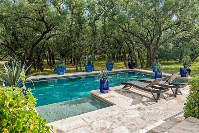1660 W Mccarty Ln, San Marcos, TX 78666 - swimming pool with a patio