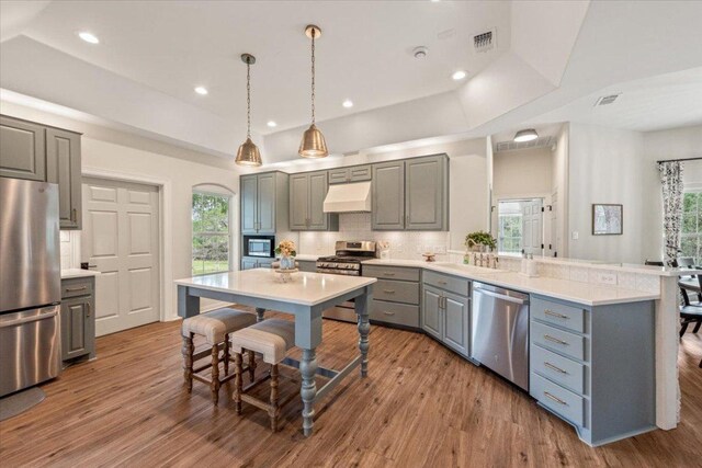 1660 W Mccarty Ln, San Marcos, TX 78666 - kitchen with appliances with stainless steel finishes, gray cabinetry, under cabinet range hood, a peninsula, and tasteful backsplash