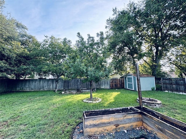 4202 Kilgore Ln, Austin, TX 78727 - fenced backyard with a shed